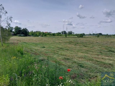 Działka rolno-budowlana Lisi Ogon gm. Białe Błota