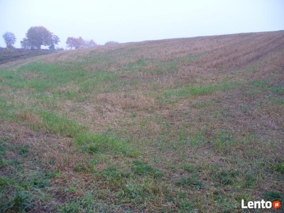 Piękna działka BUDOWLANA nad jeziorem Kiełpińskim k/Brodnicy