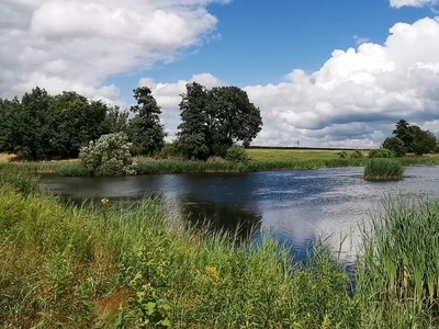 Działka budowlana J w wyjątkowym miejscu Żernica ul. Czeremchy