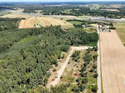 Działka budowlana Kondrajec Szlachecki