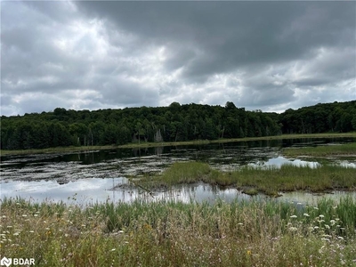 Działka inna Minden Hills