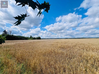 Działka rolna Radomin