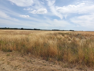 Działka rolno-budowlana Łagoszów Wielki 5,68 ha