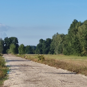 Sprzedam działkę budowlaną - ok. 1000m - 50 zł/m kw - gmina Drużbice