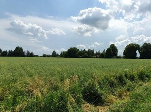 Piękna, duża działka w spokojnej okolicy - Pólko