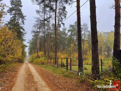 Działka 2400m2 Dzikie-Kolonia