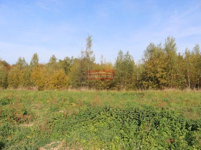 Działka budowlano- rolna 1,5 ha m2 - Biskupice