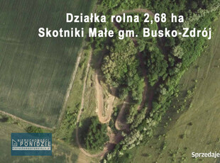 Działka 2,68 ha Skotniki Małe gm. Busko-Zdrój