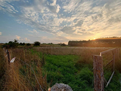 Dąbrowa Górnicza, Błędów, Kuźnica Błędowska