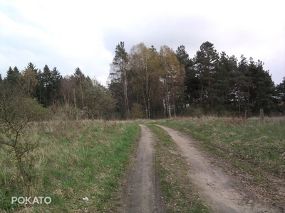 Duża Działka budowlana z małym własnym parkiem