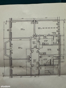 Duże mieszkanie w samym centrum Zgorzelca