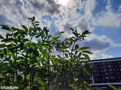 Duży balkon/Blisko Rzeki/Blisko centrum/4 pokoje