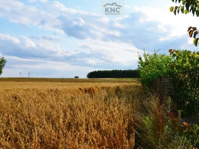 Działka budowlana Krężnica Jara gm. Niedrzwica Duża