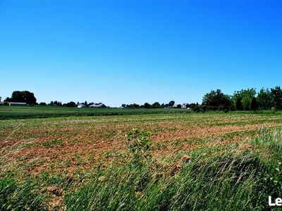 Działka budowlana Zemborzyce Tereszyńskie gm. Konopnica