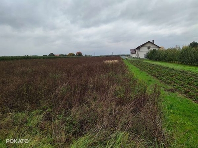 Działka rolna w Sobieniach Kiełczewskich Drugich