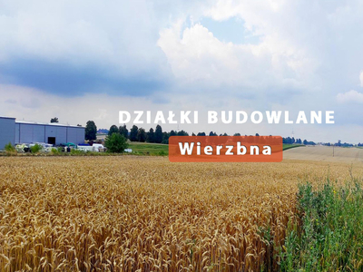 Jarosławski, Pawłosiów, Wierzbna