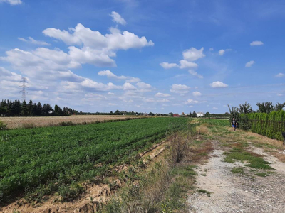 Lubelski, Niemce, Elizówka