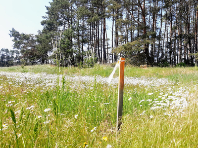 międzyrzecki, Skwierzyna, Trzebiszewo, nowa