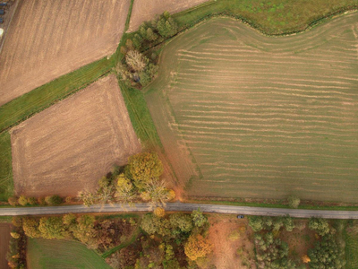 Oławski, Jelcz-Laskowice, Grędzina