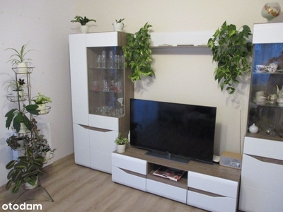 Okulickiego Park 3 Pokoje 62,1m2 Taras M nr 43