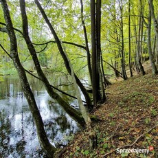 Działka Babięta dostęp linia rzeka szlak Krutyń rolna budowlana 3044m2