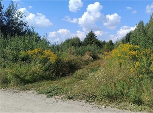 Działka Sprzedaż Skaryszew, Polska