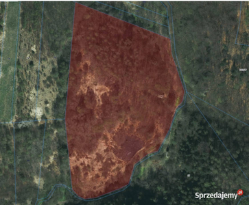 Duża działka rolno-leśna w Będkowicach, ok 2.32ha gmina Wie…