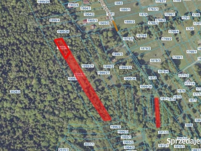 Syndyk sprzeda działki w Buczkowicach -Las, Rola, Pastwisko