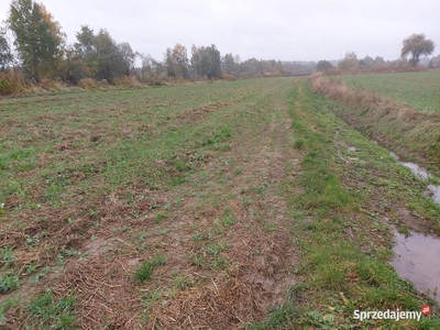 Syndyk sprzeda - nieruchomość, Wąchock, gm. Wąchock