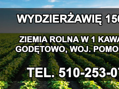 Wydzierżawię 150 ha Godętowo, woj. pomorskie