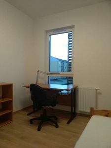 Ładny pokój w mieszkaniu studenckim do wynajęcia - Poznań