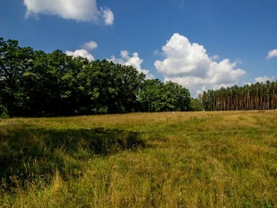 Działka budowlana Koszęcin, Piaskowa