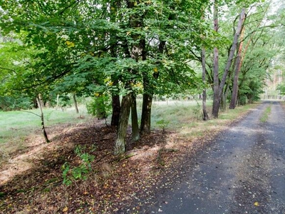 Działka budowlana Hadra gm. Herby, Szkolna