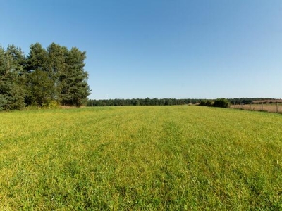 Działka budowlana Woźniki Dyrdy, Asfaltowa