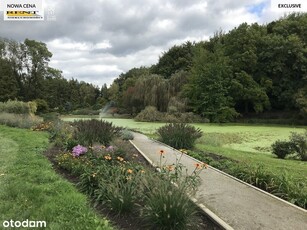 Mieszkanie,lokum,lokal do remontu w Przelewicach