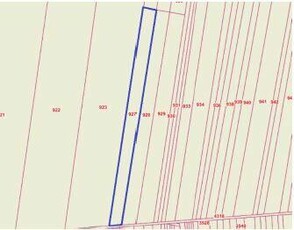 Syndyk sprzeda las – bez ceny minimalnej