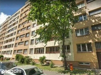 2-pokojowe mieszkanie 44m2 + balkon Bezpośrednio