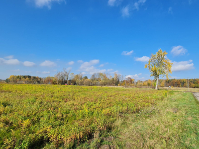 Dąbrowa Górnicza, Błędów, Zagórze