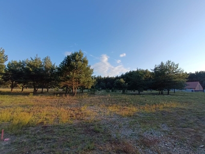 Działka pod lasem Ciecierzyce Deszczno Gorzów