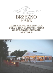 Dzierżawa terenu dla punktów handlowych i gastronomicznych, sekt. P