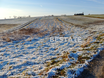 Tarnowski, Tuchów