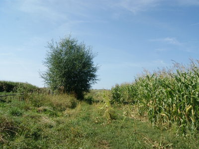 Wałbrzyski, Stare Bogaczowice