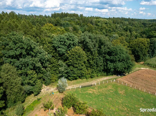 Budowlana działka przy wiekowym dębowym lesie