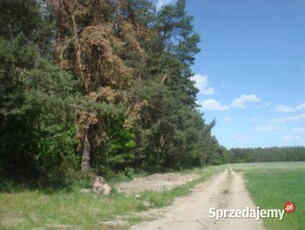 Syndyk sprzeda udział w działce