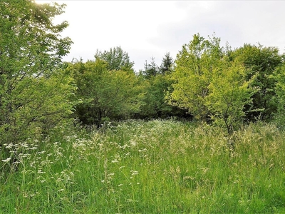 Działka na sprzedaż, Olsztyński, Spręcowo