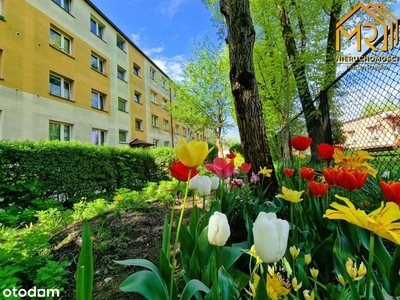 M 3 w centrum Jastrzębia-Zdroju