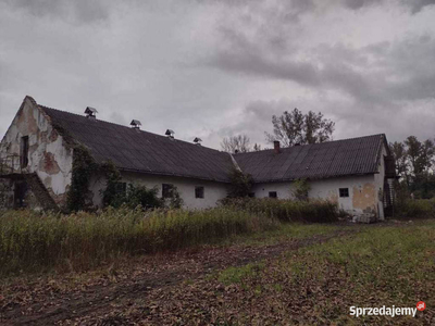 Budynki gospodarcze duża dziaka w Ryszkowej Woli