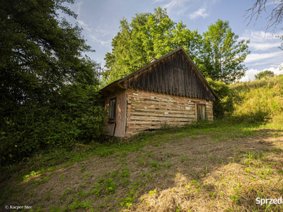 Dom drewniany z działką 88,26 ar w Tuchowie