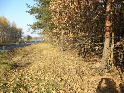 Działka budowlana Żelków-Kolonia gm. Siedlce, Siedlecka