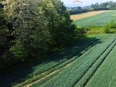 Działka rolna Gierałtowice, ul. Turystyczna